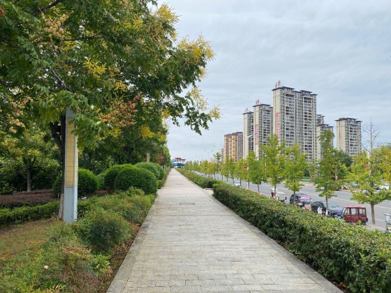 新野论坛欢迎您！