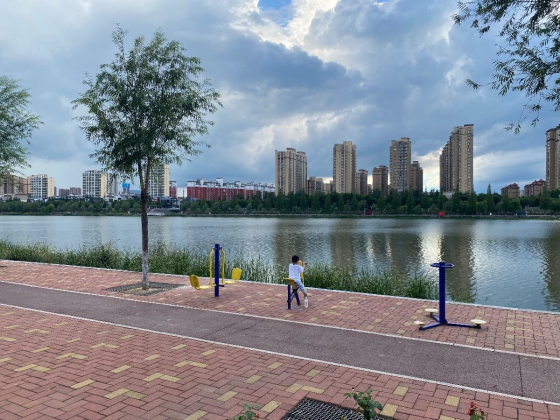 新野论坛欢迎您！